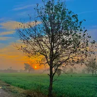 original sound - apna_panjab1