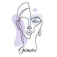 gemini_accessories1
