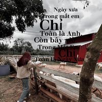 nhạc nền - Nqoc Lieen 🌷