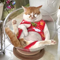 Tiền lương về đâu