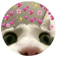 original sound - yorgelisandreinae