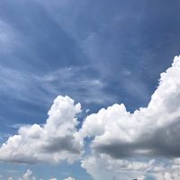 オリジナル楽曲 - 🌸迅