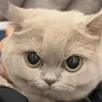 เอาไรว่ามา