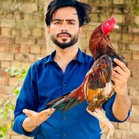 uzairmohsinpets1