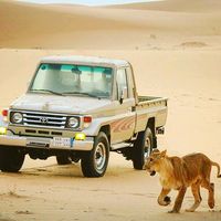 abdullahmahmoud8958
