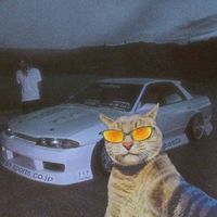 nhạc nền - 🎧🔥