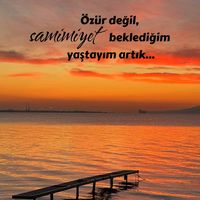 orijinal ses