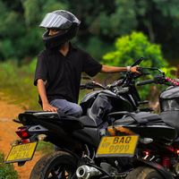 action_rabbit