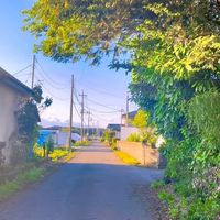 uguisu.view