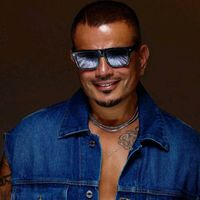 الصوت الأصلي