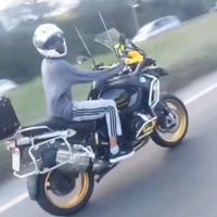 pilotos_danorte46
