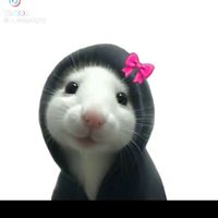 _huerta4