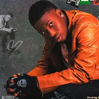 original sound - timmhydee