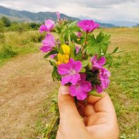 daqlarqizi_41_alxasli