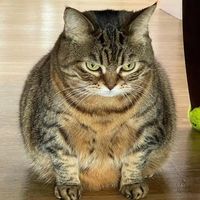 เสียงต้นฉบับ - เอ๋ กีต้าร์ เพลิงนรก