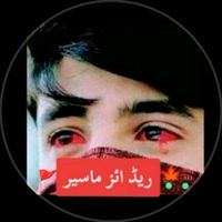 kashmirisardar399