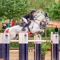 horsegirlwithane
