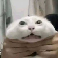 nhạc nền - Phú🍌