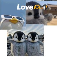 nhạc nền - Chim Cánh Cụt đu thập cẩm🐧