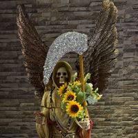 miperegrina