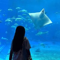 yujing140319