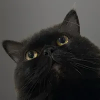 ไว้ใจฉันได้เสมอ