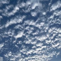 subrat_official_26