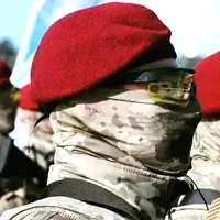 original sound - uzman_cvs51