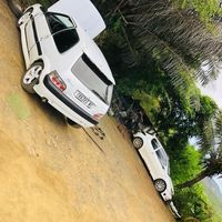 nicketarassdechienmort