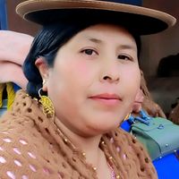 nancymamani8415