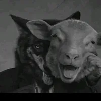 original sound - rxvd09