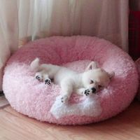 오리지널 사운드 - 널🎶위한🎵멜로디