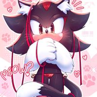shadow.2340