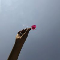original sound - cherry 🌸🍒