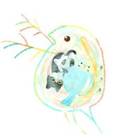オリジナル楽曲 - ミジンコの魂