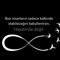 gecevebennnnn