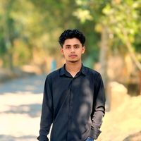 mahadipigeonlover
