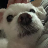 제 음원 아니에요 ᅲᅲ