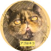ago.cat
