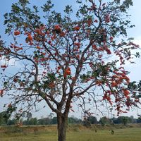 เสียงต้นฉบับ - Namfon 9743