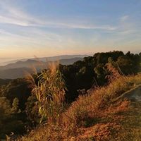 เสียงต้นฉบับ - NATURE