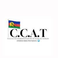 _c.c.a.t