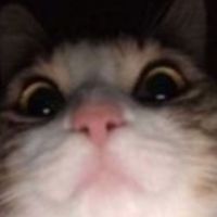 lelyindahp23