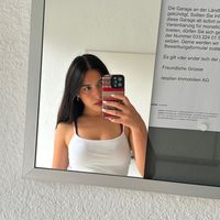 dasha.css