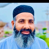mumtazgondal6956