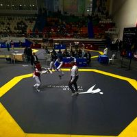 mehmeteren_kaya