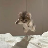 BE