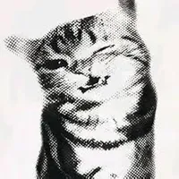 original sound - eaglqwy