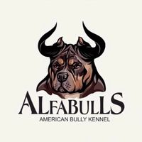 alfabullskennel