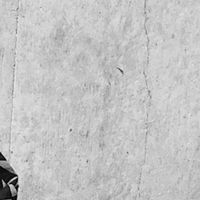 歌舞伎町レイニー